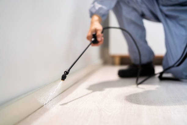Licensed Cockroach Control service in Unicoi, TN - Nex Pest Control