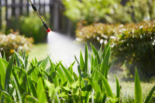 24/7 Emergency Cockroach Control experts in Unicoi, TN