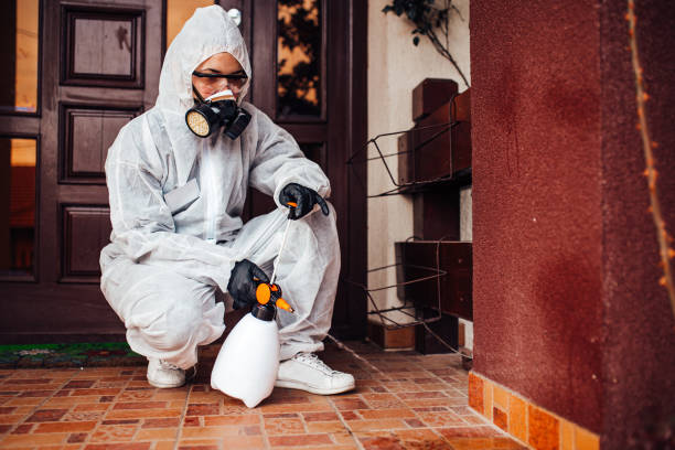 Reliable Cockroach Control contractor in Unicoi, TN by Nex Pest Control